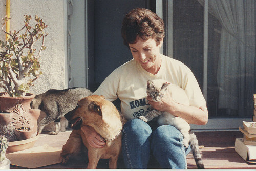 the cat who loved dogs back cover the cat who loved dogs back cover