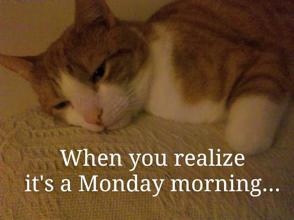 Timmy hates Monday mornings