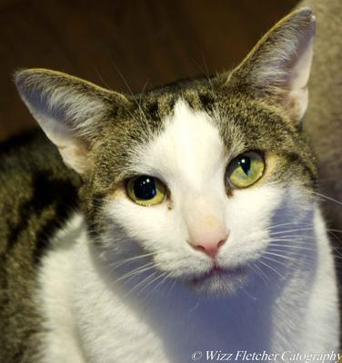 Willis - needed specialist opinion because of his eyes Willis - needed specialist opinion because of his eyes