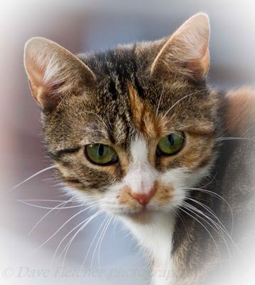 Amelia - youngster who needed old pin removed from her leg as it was pushing up through her hip Amelia - youngster who needed old pin removed from her leg as it was pushing up through her hip