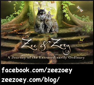 Zee & Zoey’s Chronicle Connection